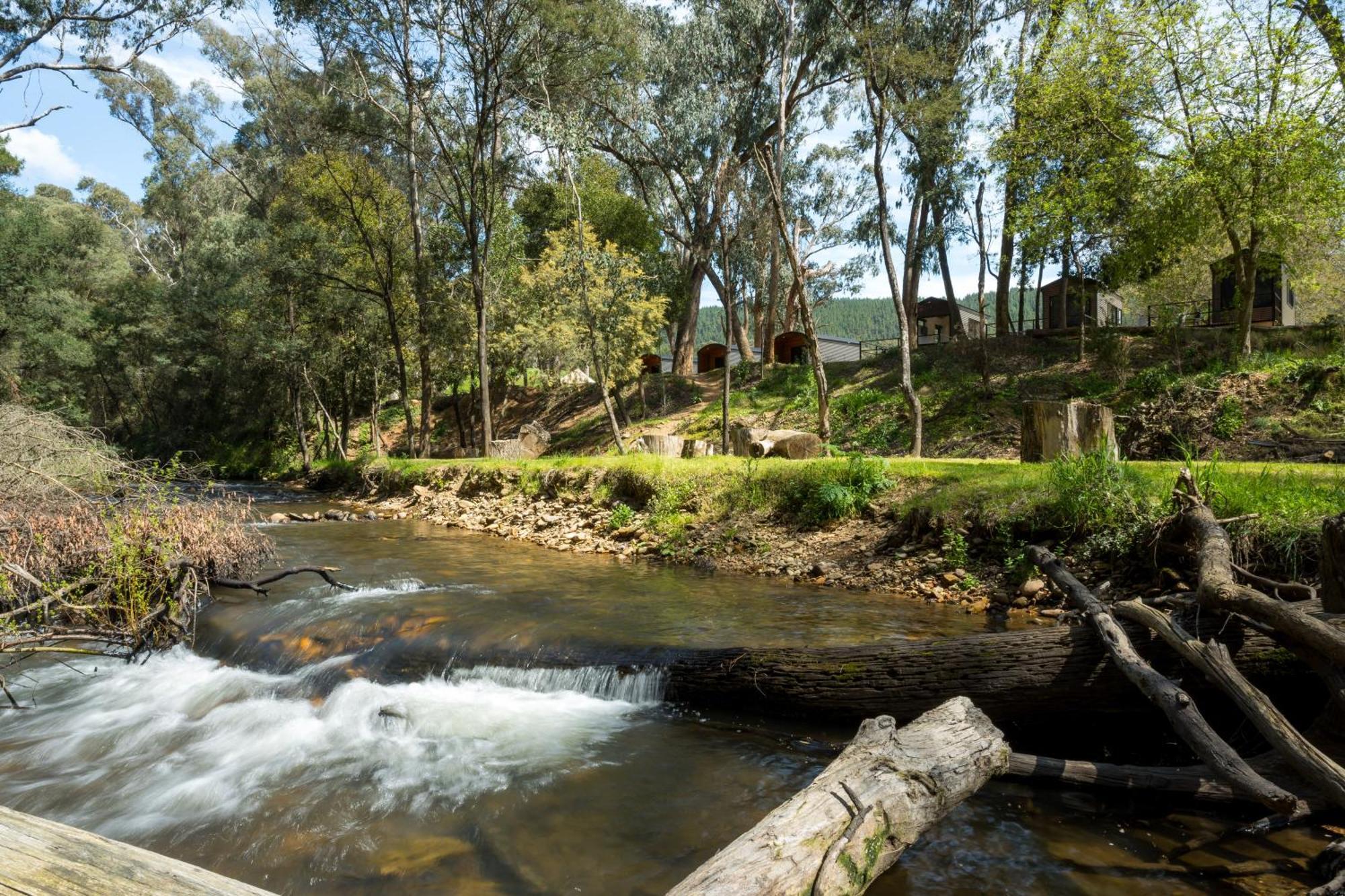 Bright Cabin Park Экстерьер фото